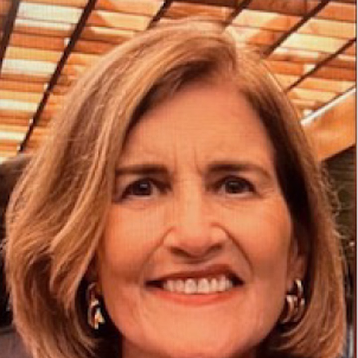 Foto de Profa. Dra. Maria Lúcia Vellutini Pimentel